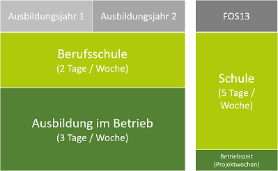 Ablauf der Ausbildung Industriekaufleute (m/w/d) im dualen Modell